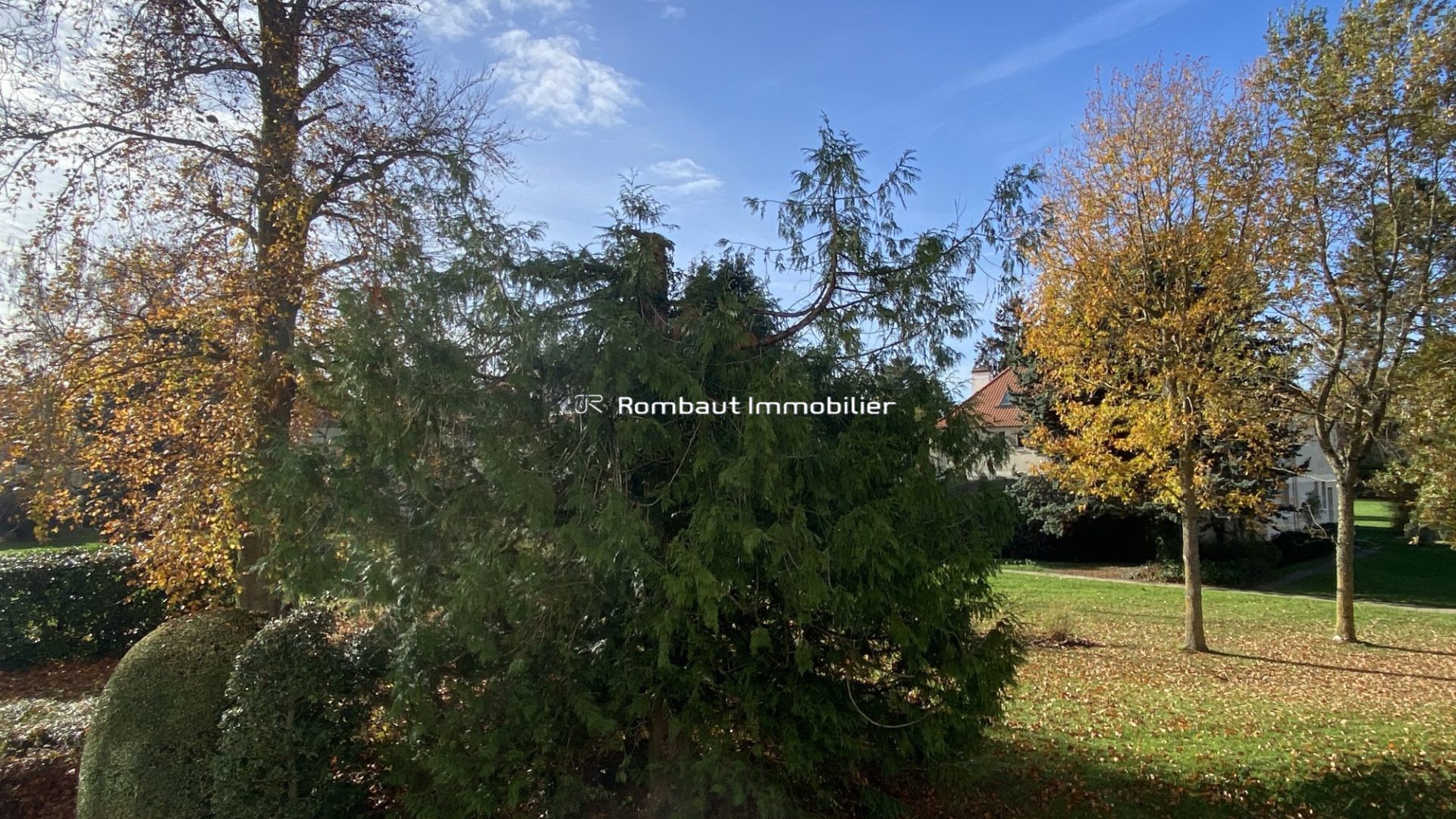 1764154931_VA6304_6_original