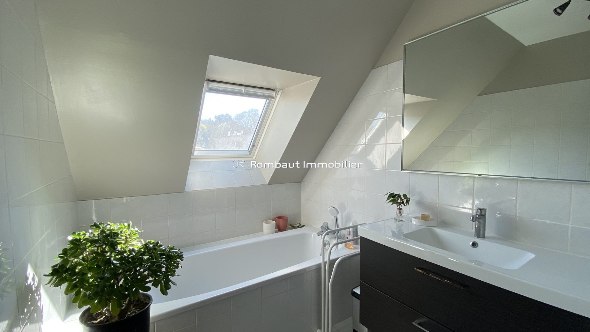 1773225927_VM3049_2_original