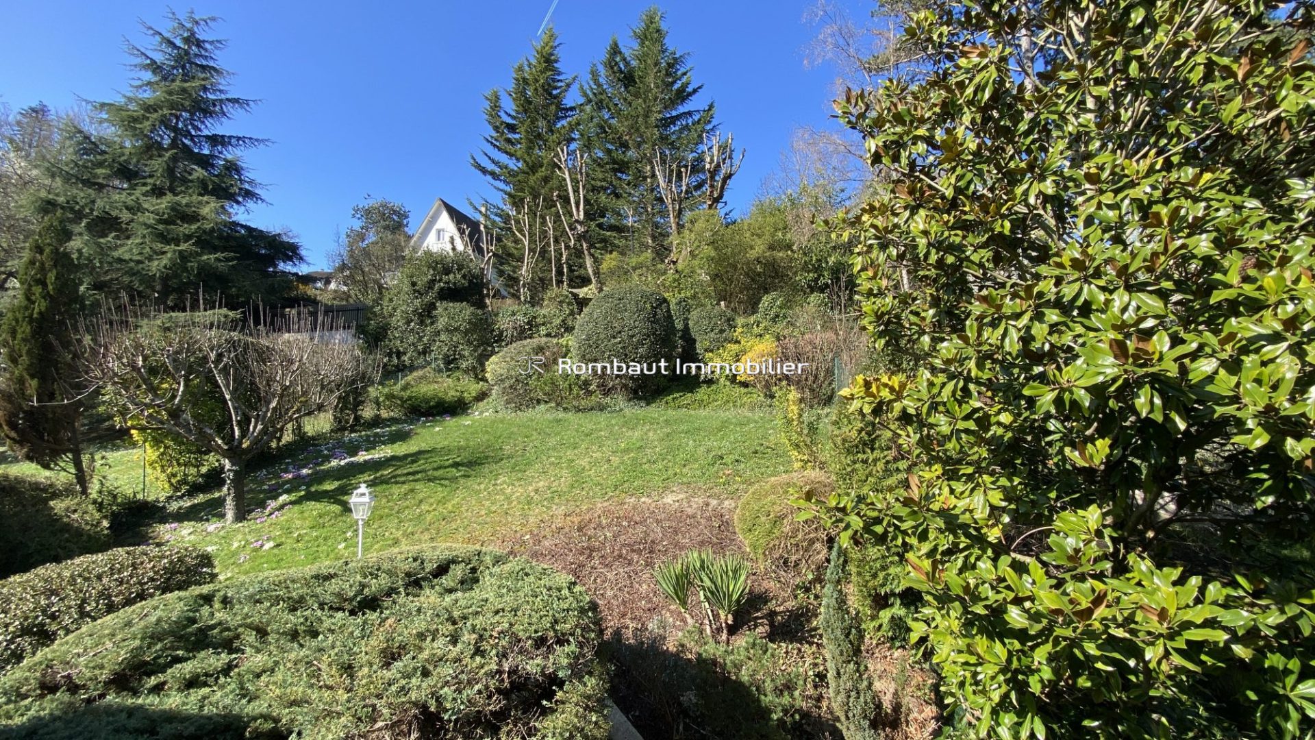 1773225932_VM3049_4_original